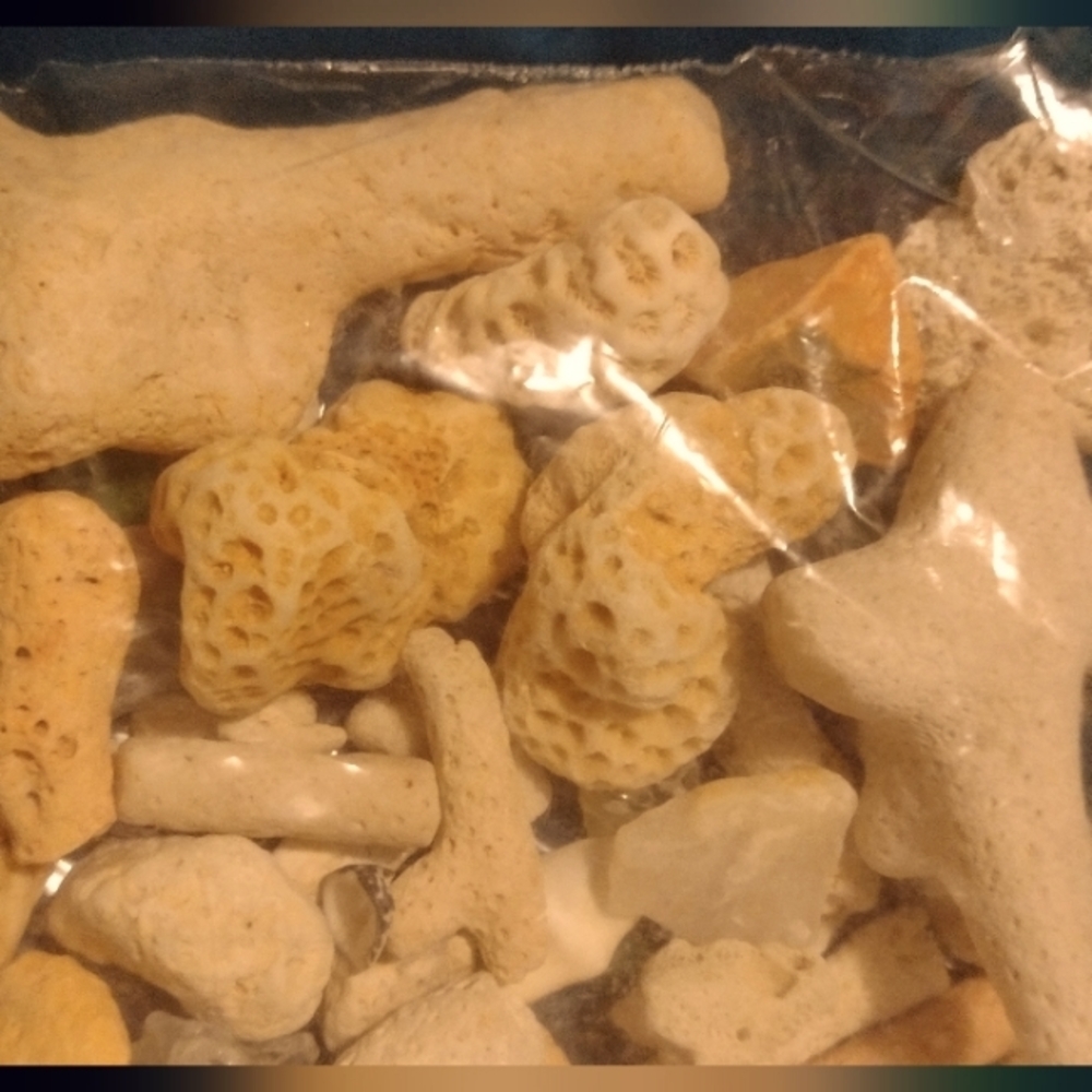 Corals and Beach Gems